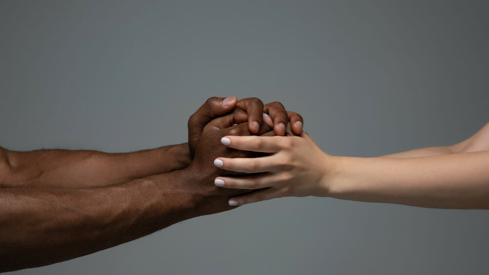 Dados Raciais em Documentos Trabalhistas Promovendo a Igualdade Racial no Mercado de Trabalho 2