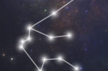 Brilho Próprio: A Majestade e Confiança do Signo de Leão (23 de julho – 22 de agosto)
