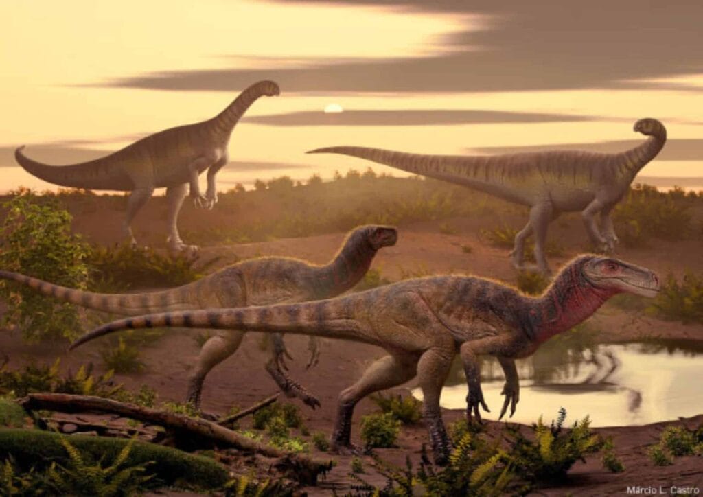 Predador do passado: nova espécie de velociraptor descoberta 2 image 13899 Maleriraptor kuttyi